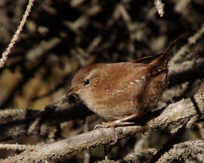 Прикрепленное изображение: 002.jpg